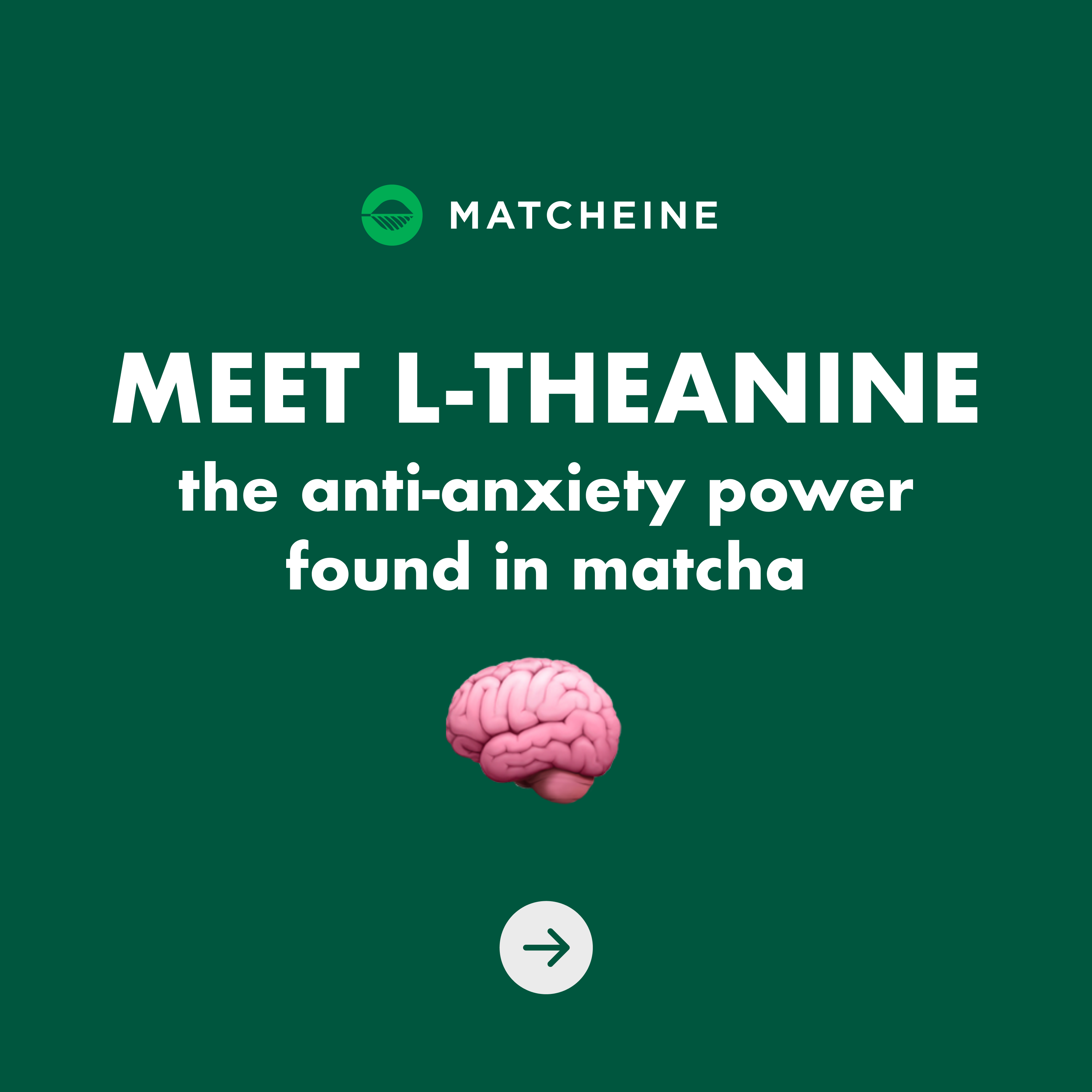L-Theanine: The anti-anxiety power found in Matcheine